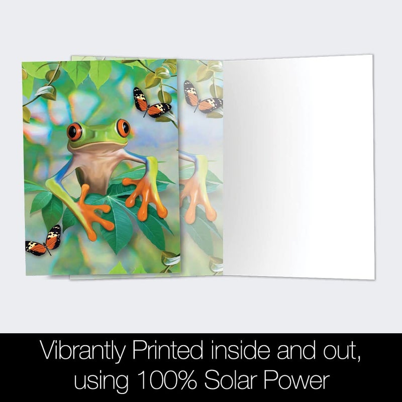 Tree-Free Greetings EcoNotes 12 Count Frog Framed All Occasion Notecard Set with Envelopes, 4 x 6 Inches (FS56911) - Image 3